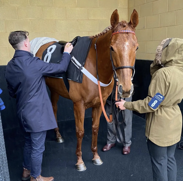 Spring Note getting ready for her race at Newbury